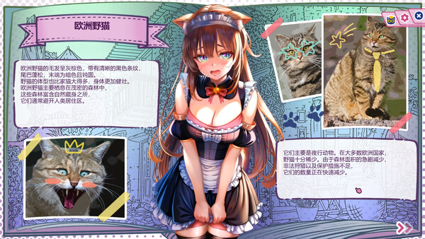 猫娘百科：寻找她的小尾巴 截图 5