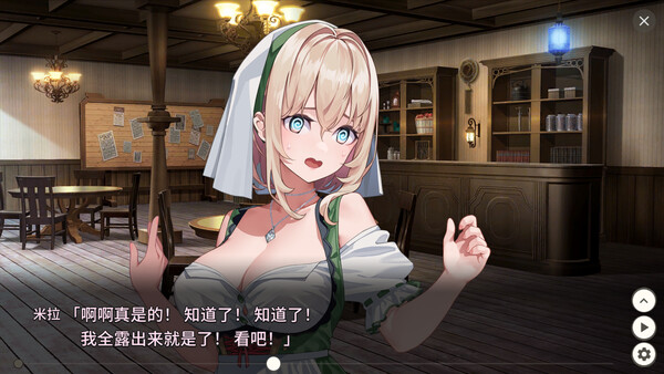 旅店，酒馆与女枪士 截图 2